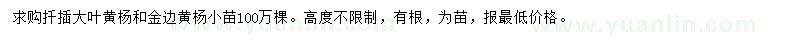 求购大叶黄杨、金边黄杨小苗