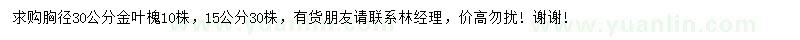 求购胸径30公分金叶槐