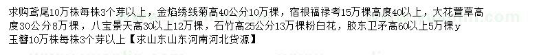 求购鸢尾、玉簪、八宝景天等