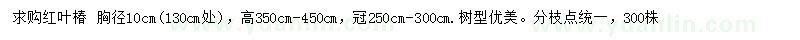 求购130公分处量10公分红叶椿