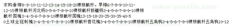 求购垂柳、旱柳、河北杨等