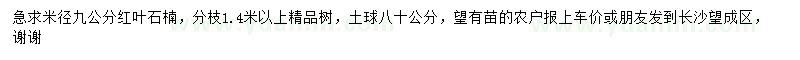 求购米径9公分红叶石楠