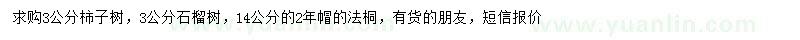 求购柿子树、石榴树、法桐