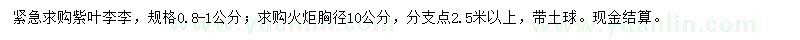 求购0.8-1公分紫叶李、胸径10公分火炬