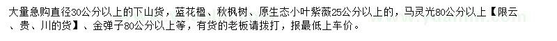 求购蓝花楹、秋枫树、小叶紫薇等