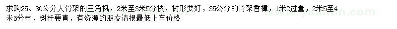 求购25、30公分三角枫、35公分香樟