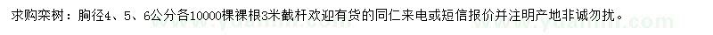 求购胸径4、5、6公分栾树