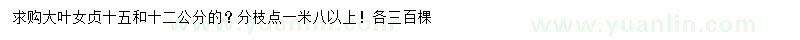 求购12、15公分大叶女贞