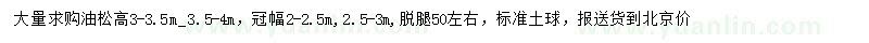 求购3-3.5米、3.5-4米油松