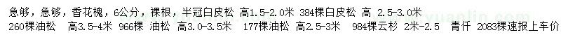 求购香花槐、白皮松、油松等