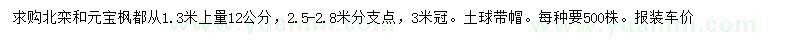 求购1.3米处量12公分北栾、元宝枫