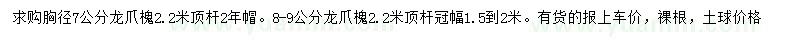 求购胸径7、8-9公分龙爪槐