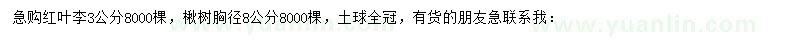 求购3公分红叶李、胸径8公分楸树