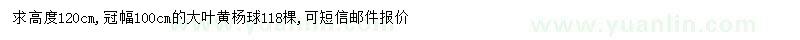 求购冠幅100公分大叶黄杨球