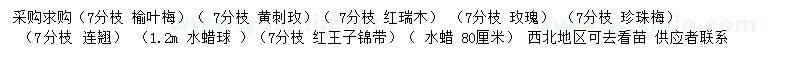 求购榆叶梅、黄刺玫、红瑞木等