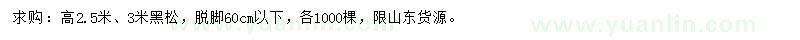 求购高2.5、3米黑松