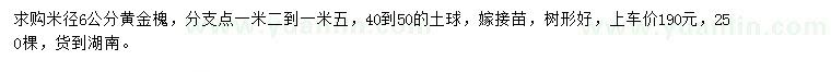 求购米径6公分黄金槐