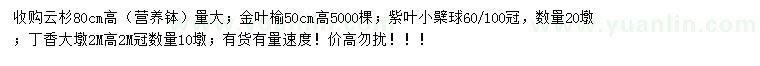 求购云杉、金叶榆、紫叶小檗球等