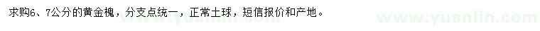 求购6、7公分黄金槐