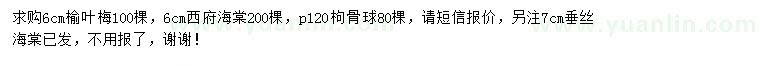 求购榆叶梅、西府海棠、枸骨球