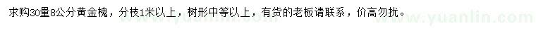 求购30量8公分黄金槐