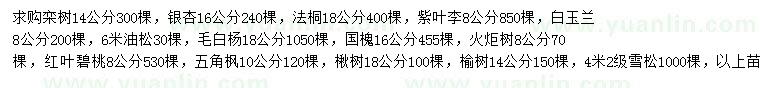 求购栾树、银杏、法桐等