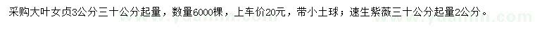 求购大叶女贞、速生紫薇