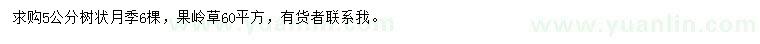 求购5公分树状月季、果岭草