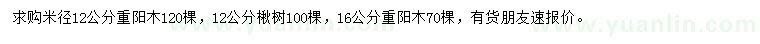 求购重阳木、楸树