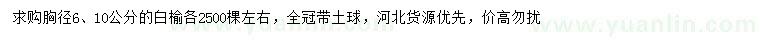 求购胸径6、10公分白榆