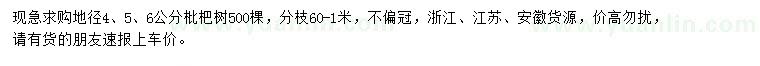 求购地径4、5、6公分枇杷树