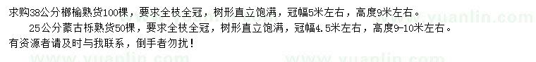 求购38公分榔榆、25公分蒙古栎