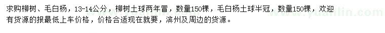 求购13-14公分柳树、毛白杨