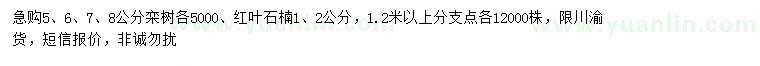 求购5、6、7、8公分栾树、1、2公分红叶石楠