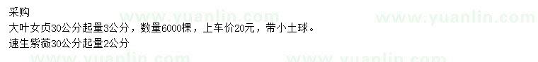 求购30公分起量3公分大叶女贞、30公分起量2公分速生紫薇