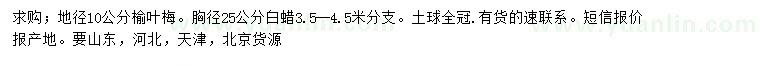 求购地径10公分榆叶梅、胸径25公分白蜡
