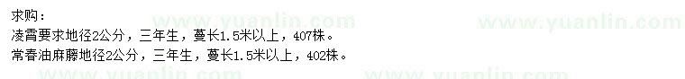 求购地径2公分凌霄、常春油麻藤