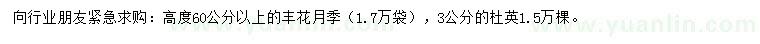 求购高60公分以上丰花月季、3公分杜英