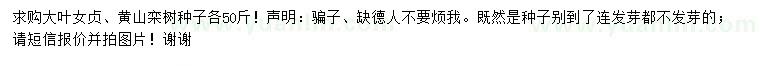 求购大叶女贞、黄山栾树种子
