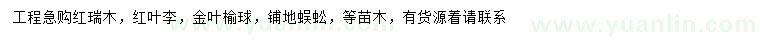 求购红瑞木、红叶李、金叶榆球等