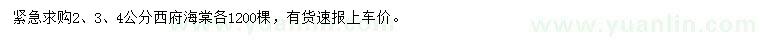 求购2、3、4公分西府海棠