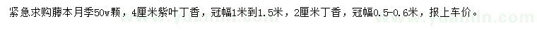 求购藤本月季、紫叶丁香