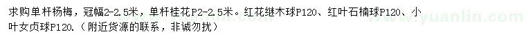 求购单杆杨梅、单杆桂花、红花继木球等