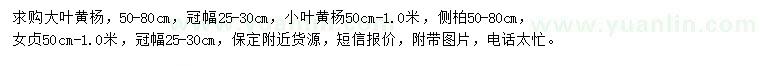 求购大叶黄杨、小叶黄杨、侧柏