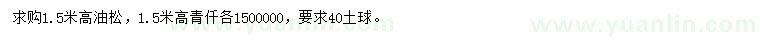 求购高1.5米油松、青仟