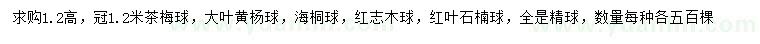 求购茶梅球、大叶黄杨球、海桐球等