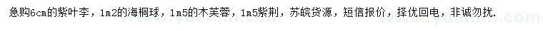 求购紫叶李、海桐球、木芙蓉等