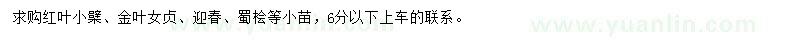 求购红叶小檗、金叶女贞、迎春等