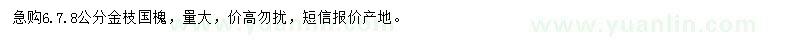 求购6、7、8公分金枝国槐