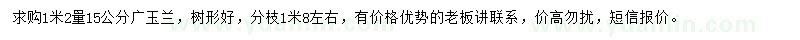 求购1.2米量胸径15公分广玉兰